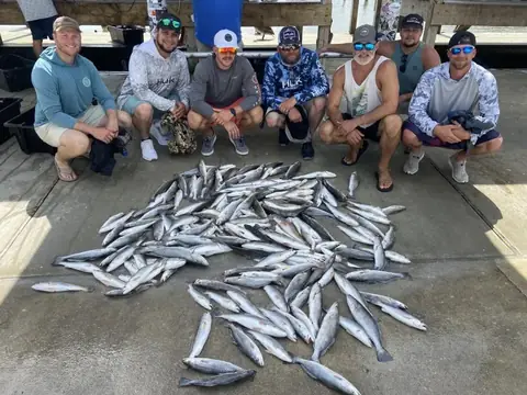 A group of anglers kneeling behind a large catch of speckled trout in Venice, Louisiana