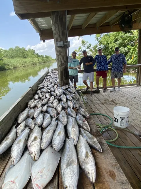 Four anglers at the end of a long row of fish on the cleaning dock in Venice, Louisiana