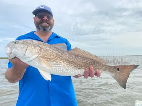 Angler in a blue shirt holding a redfish on an overcast day near Venice, Louisiana