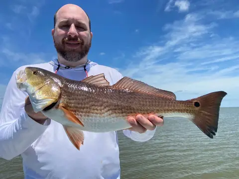 Angler in a white shirt holding a redfish under a blue sky near Venice, Louisiana