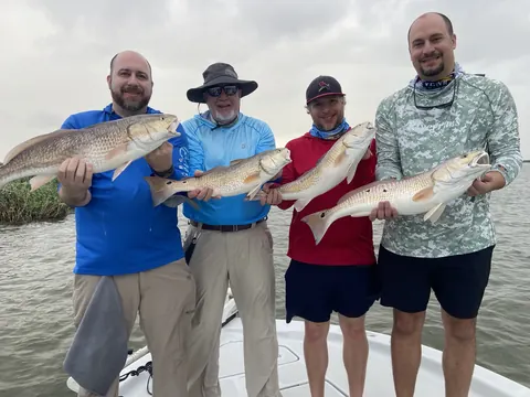 Four anglers on the bow each holding a redfish near Venice, Louisiana
