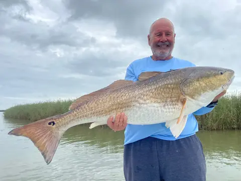 Angler holding a large redfish with delta marsh grass behind him near Venice, Louisiana