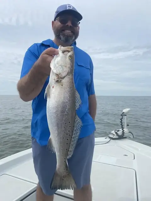 Angler in a blue shirt holding up a speckled trout on the bow near Venice, Louisiana
