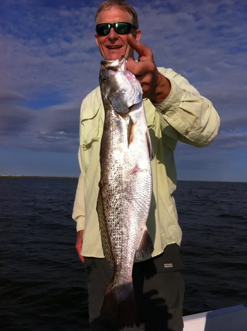Angler holding up a large speckled trout on the boat in evening light near Venice, Louisiana