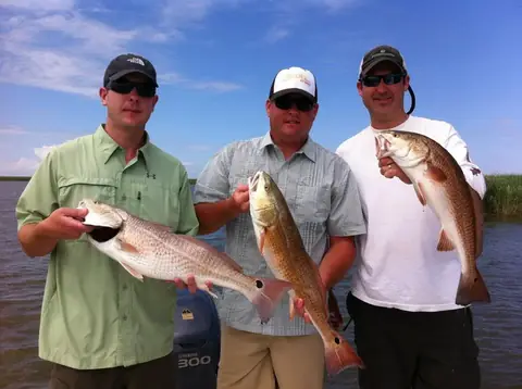 Three anglers on the boat each holding a redfish under a blue sky near Venice, Louisiana